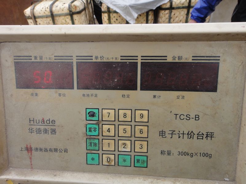 DSC02171.JPG