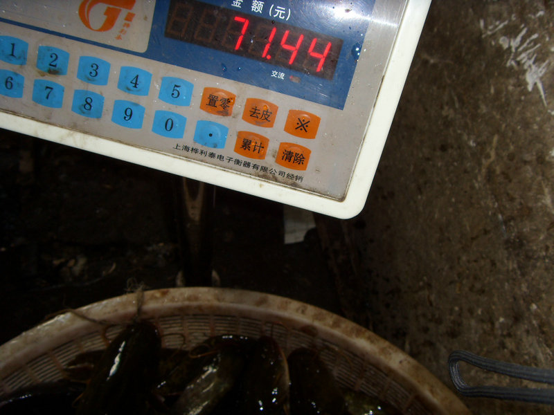 SDC17444.JPG