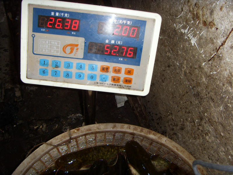 SDC17446.JPG