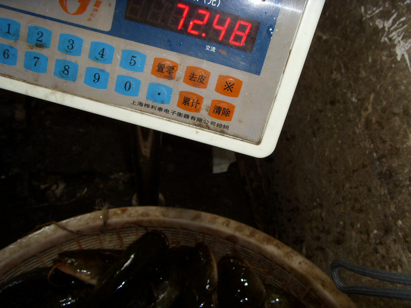 SDC17445.JPG