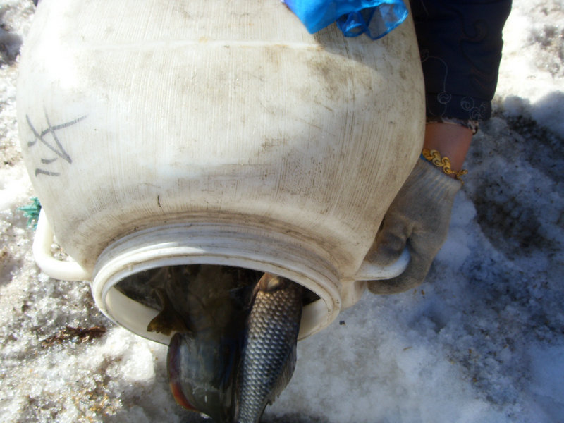 SDC17514.JPG