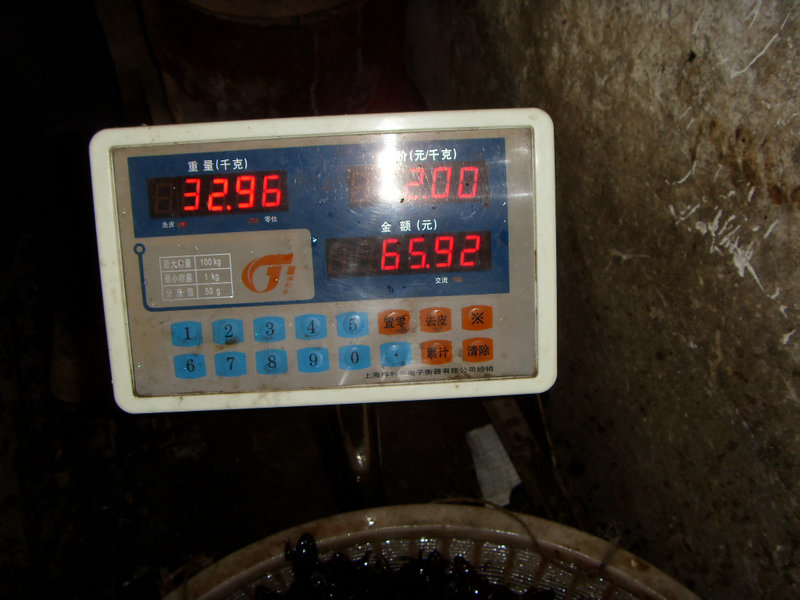 SDC17458.JPG