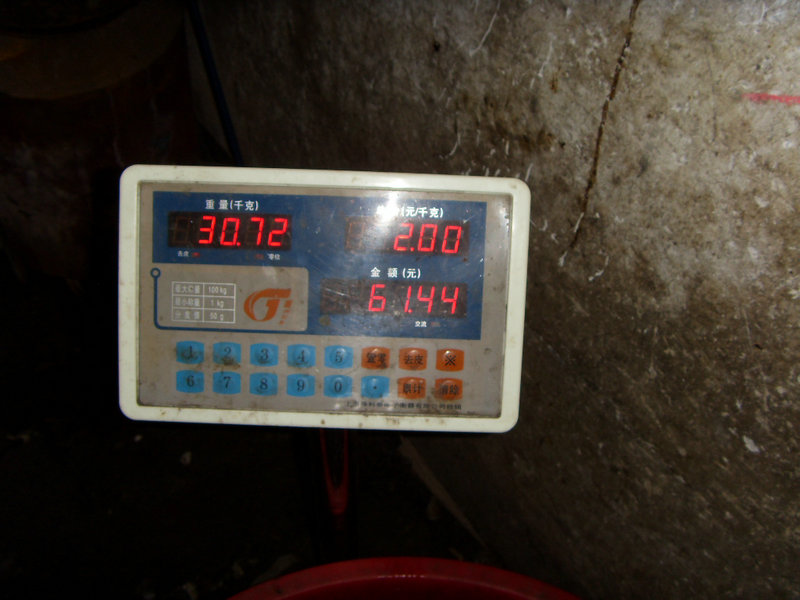 SDC17547.JPG