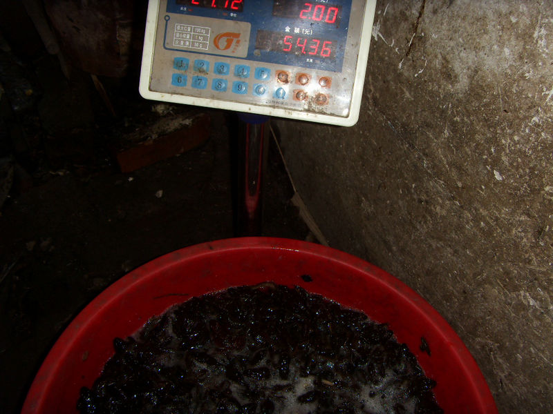 SDC17546.JPG