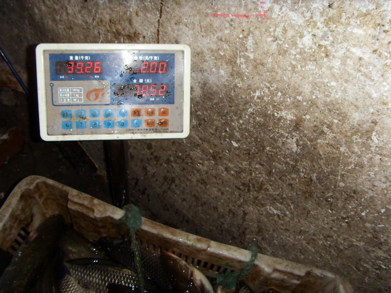 SDC17567.JPG