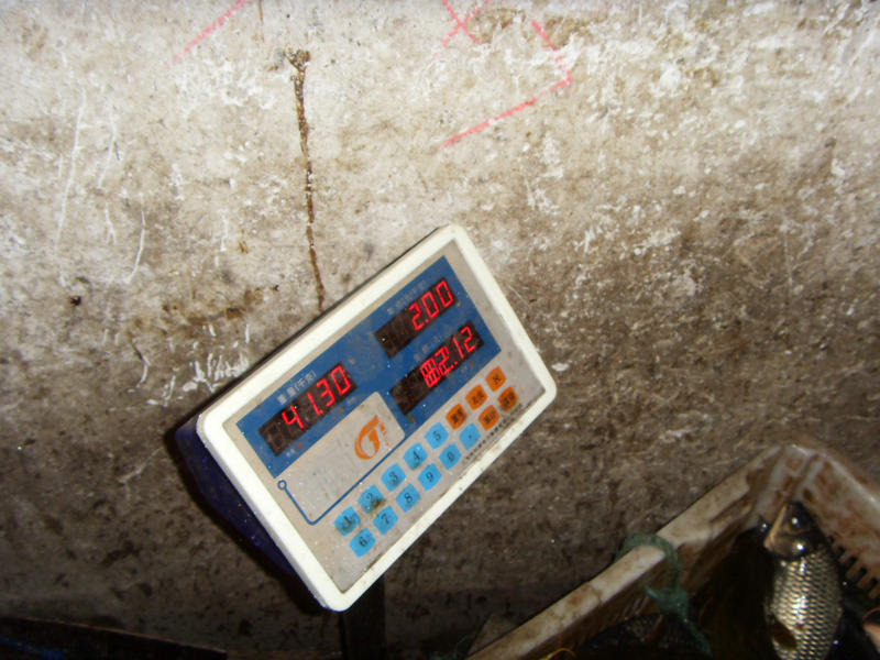 SDC17574.JPG