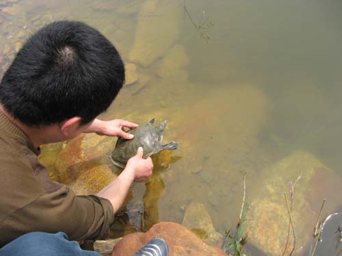 Ƭ 017.jpg