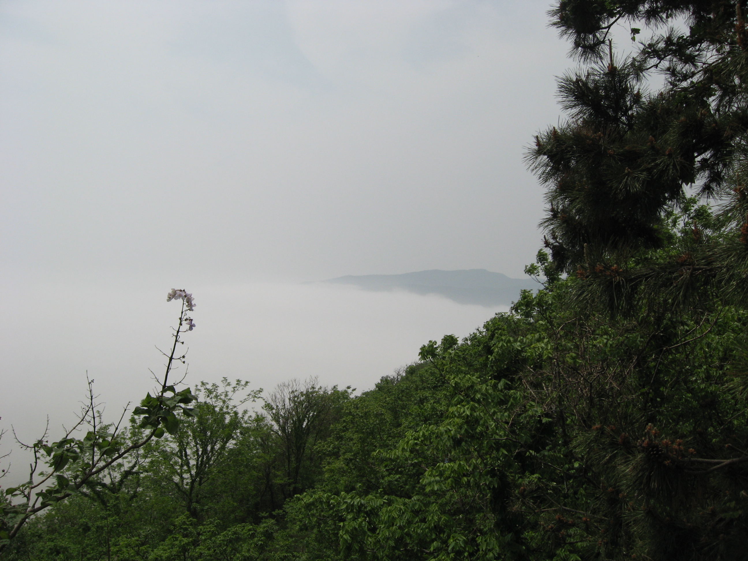 Ƭ 033.jpg