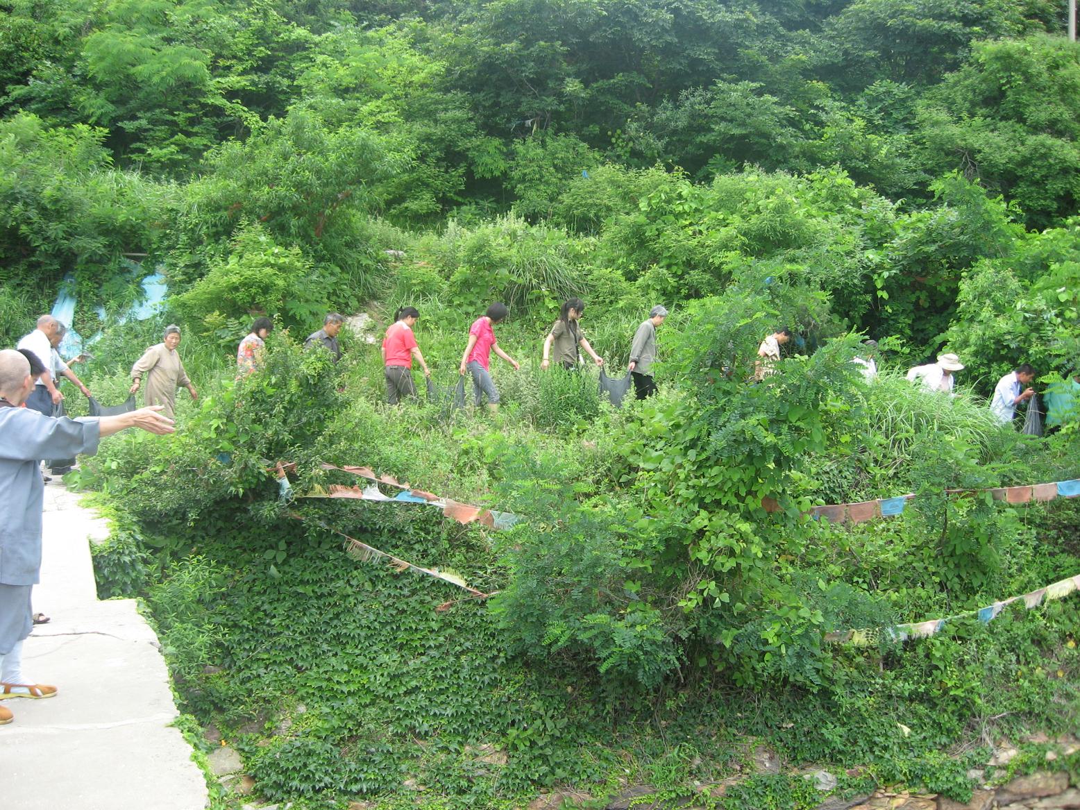 Ƭ 004.jpg