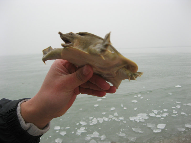 IMG_4069.jpg