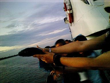 Img00015.jpg